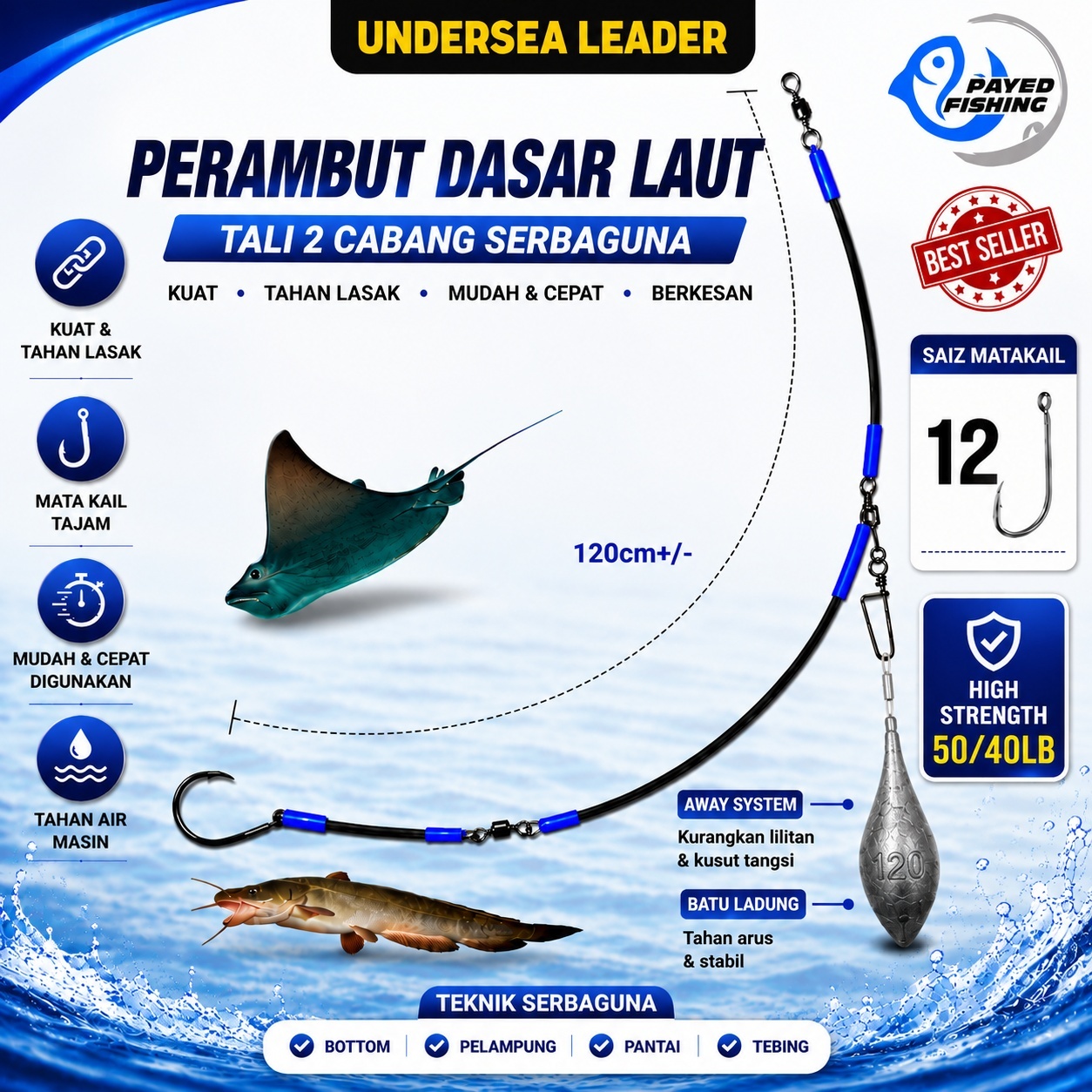 Perambut Dasar Laut (PD) [DELETED]
