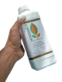Kitosan 1Kg