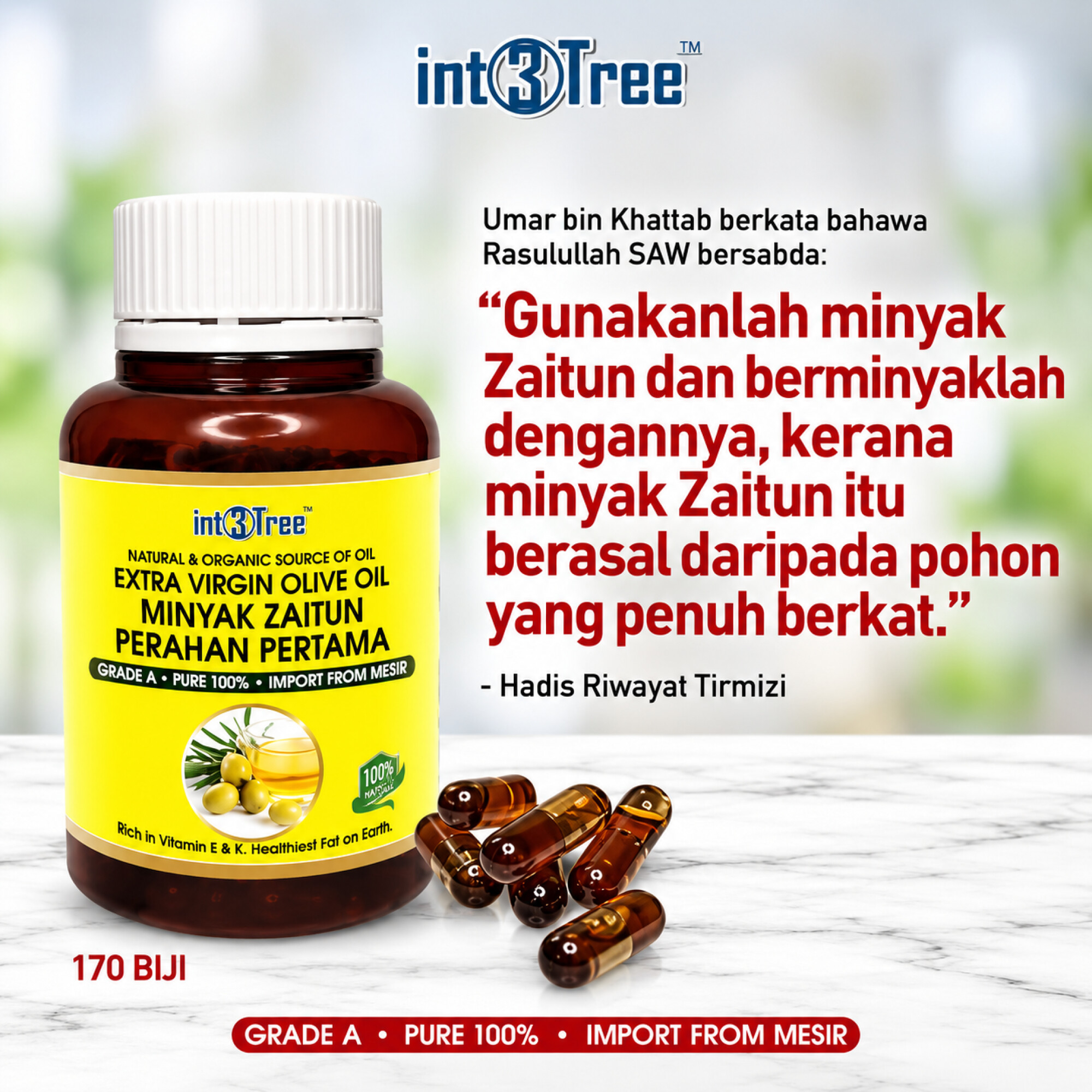 Natural & Organic Olive Oil Minyak Zaitun Original