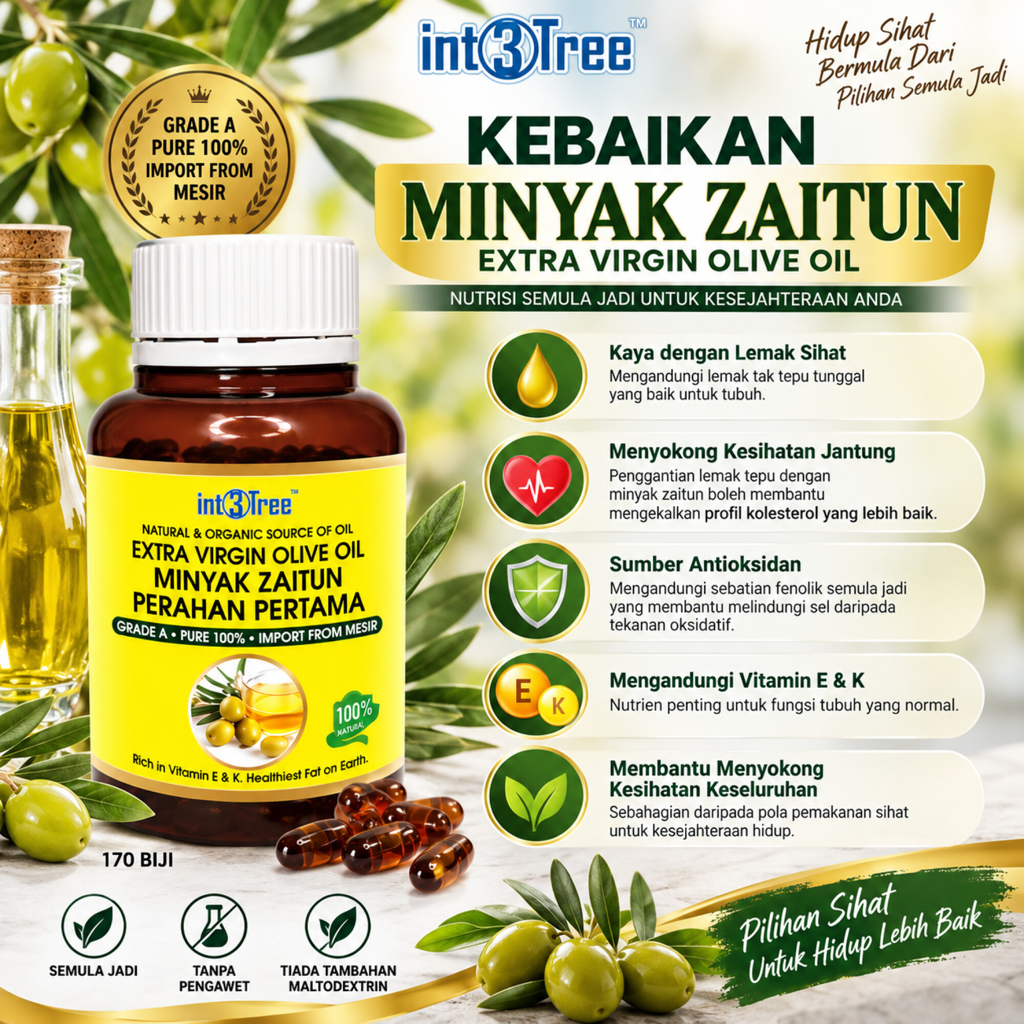 Natural & Organic Olive Oil Minyak Zaitun Original