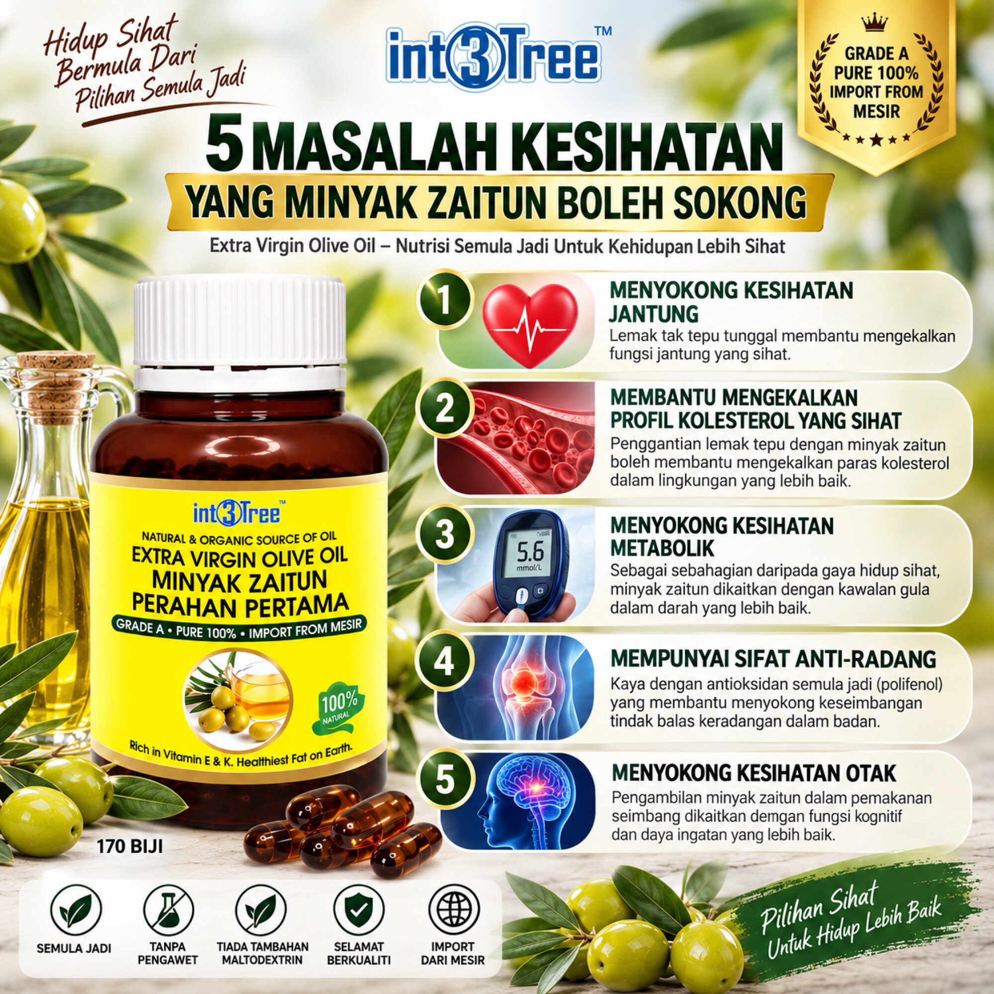Natural & Organic Olive Oil Minyak Zaitun Original