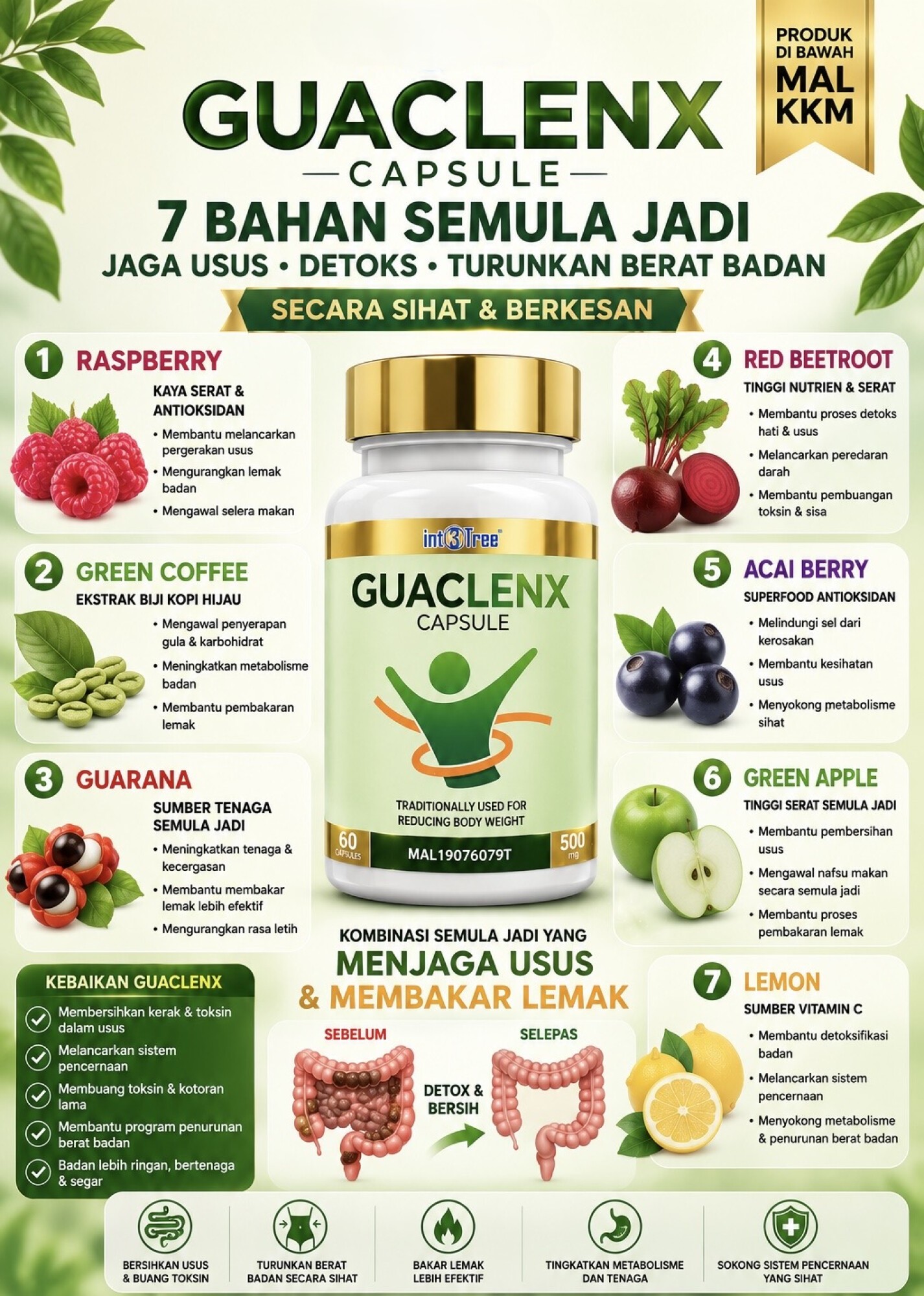 GUACLENX Capsule