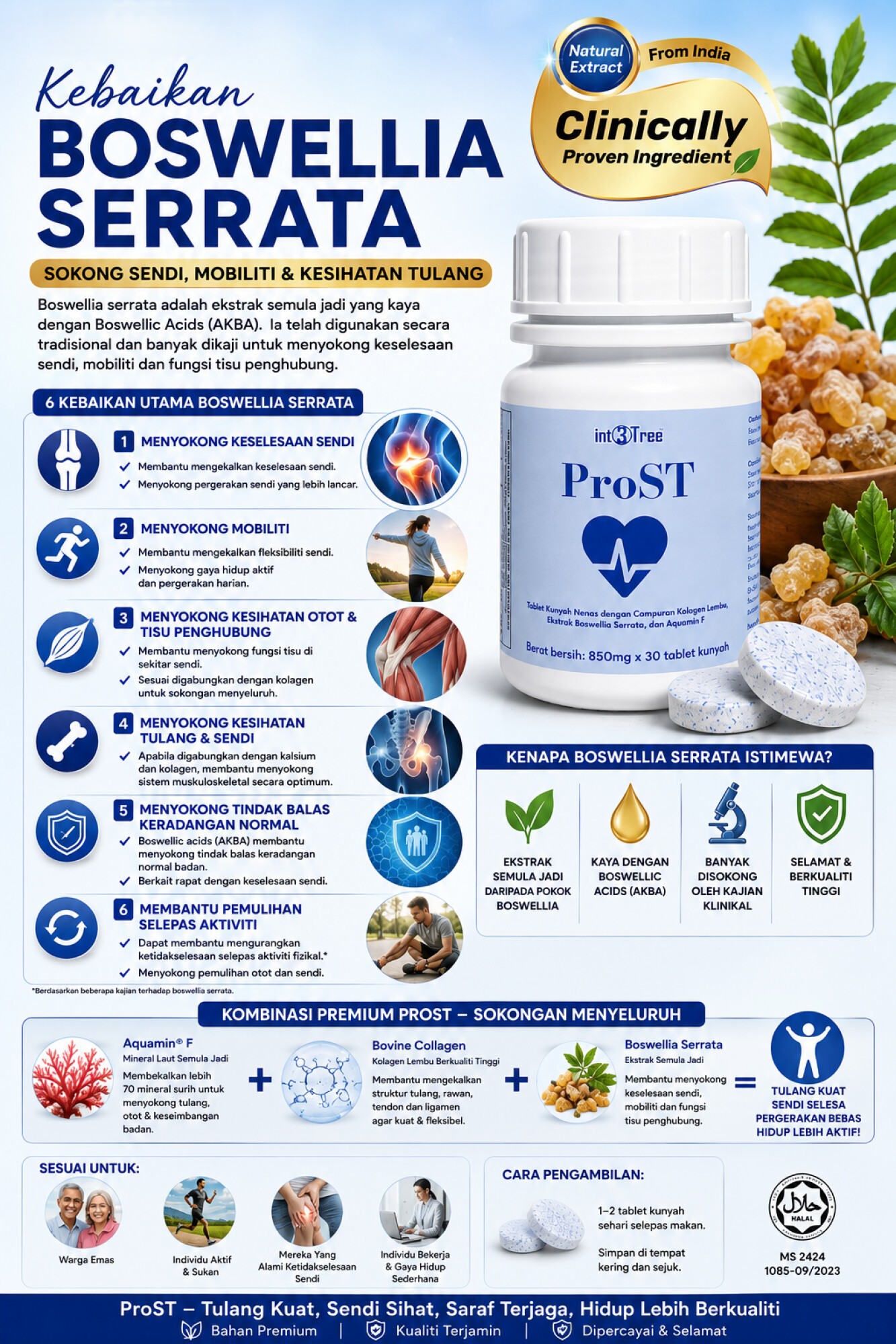 PRO-ST (Suplemen Sakit Sendi, Saraf, Tulang) 850mg x 30 Tablet