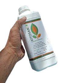 Kitosan 1Kg